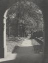 image of the page of the digitized material
