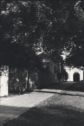 image of the page of the digitized material