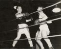 image of the page of the digitized material