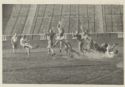 image of the page of the digitized material