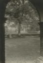 image of the page of the digitized material