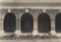 image of the page of the digitized material