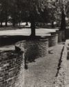 image of the page of the digitized material