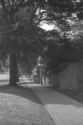 image of the page of the digitized material