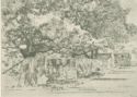 image of the page of the digitized material