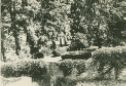 image of the page of the digitized material