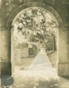 image of the page of the digitized material