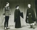 image of the page of the digitized material
