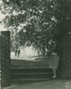 image of the page of the digitized material