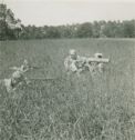 image of the page of the digitized material