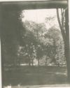image of the page of the digitized material