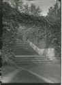 image of the page of the digitized material