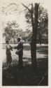 image of the page of the digitized material