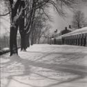 image of the page of the digitized material