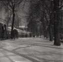 image of the page of the digitized material