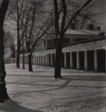 image of the page of the digitized material