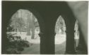 image of the page of the digitized material