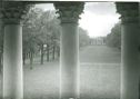 image of the page of the digitized material