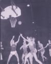 image of the page of the digitized material