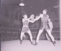 image of the page of the digitized material