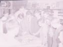 image of the page of the digitized material