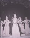 image of the page of the digitized material