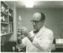image of the page of the digitized material