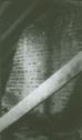 image of the page of the digitized material
