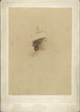 image of the page of the digitized material