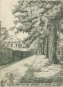 image of the page of the digitized material