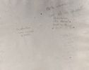 image of the page of the digitized material