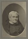 image of the page of the digitized material