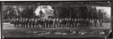 image of the page of the digitized material