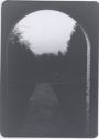 image of the page of the digitized material