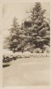 image of the page of the digitized material