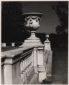 image of the page of the digitized material