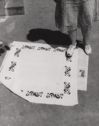 image of the page of the digitized material