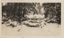 image of the page of the digitized material