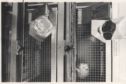 image of the page of the digitized material
