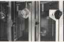 image of the page of the digitized material