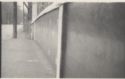 image of the page of the digitized material