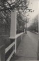 image of the page of the digitized material