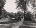 image of the page of the digitized material