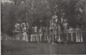 image of the page of the digitized material