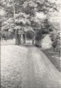 image of the page of the digitized material