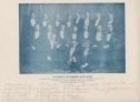 image of the page of the digitized material