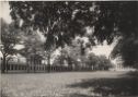 image of the page of the digitized material