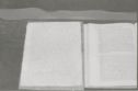 image of the page of the digitized material