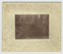 image of the page of the digitized material