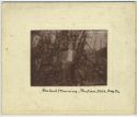 image of the page of the digitized material